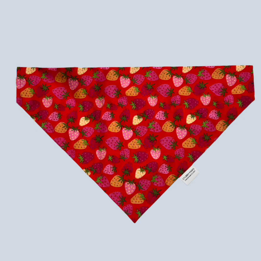 Strawberry Dog Bandana