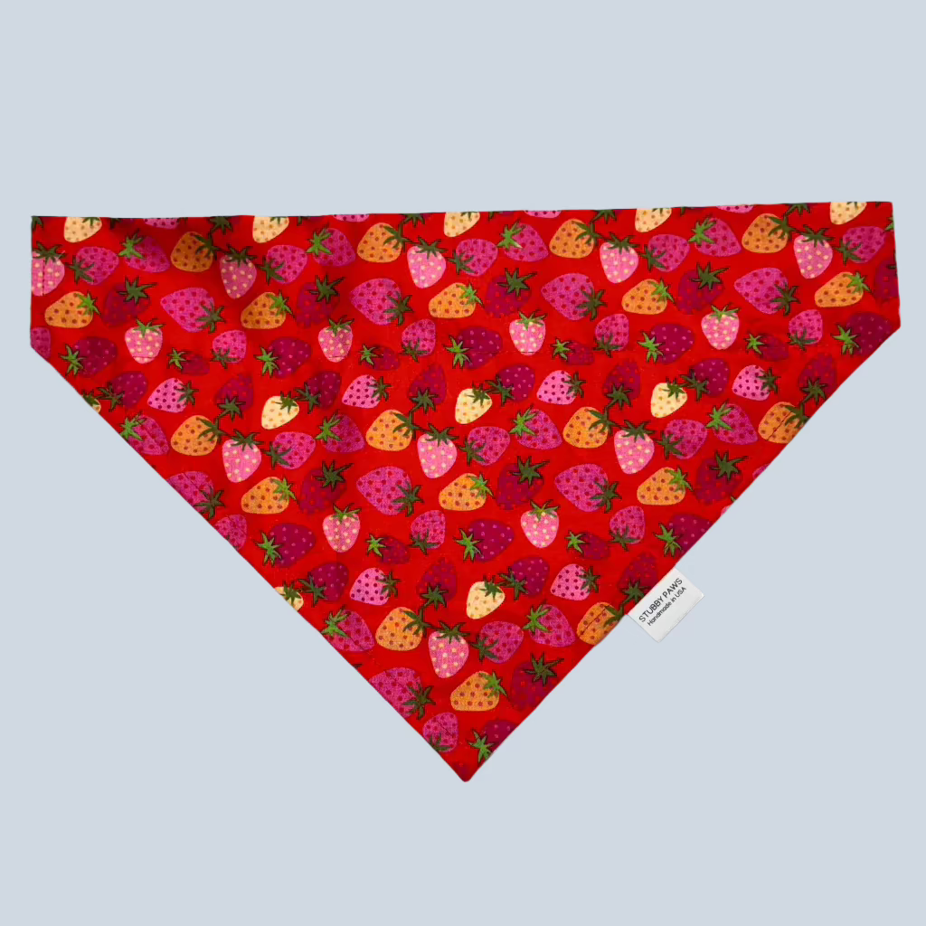 Strawberry Dog Bandana