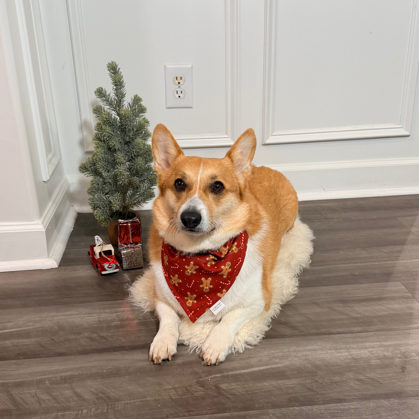 Christmas Dog Bandana