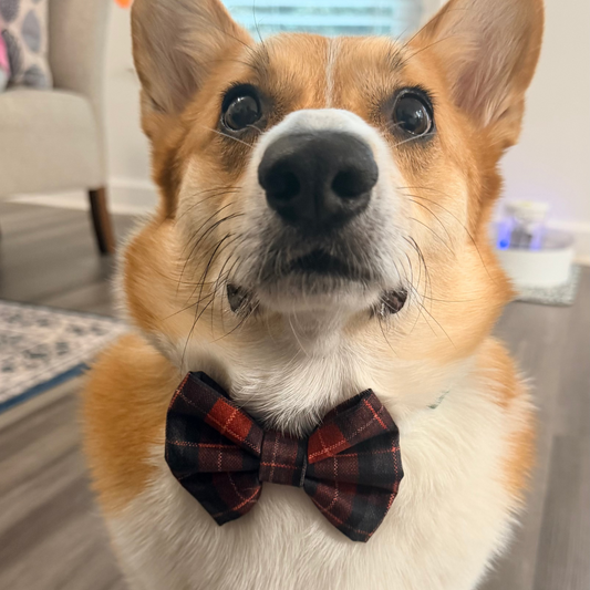 Christmas Plaid Dog Bowtie