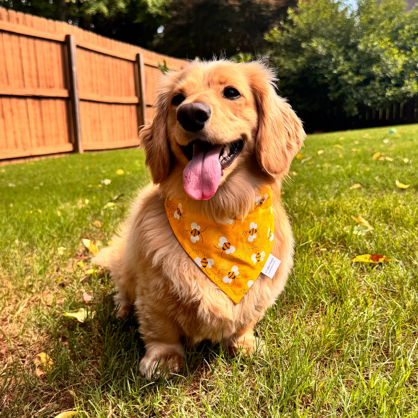 Bee Dog Bandana