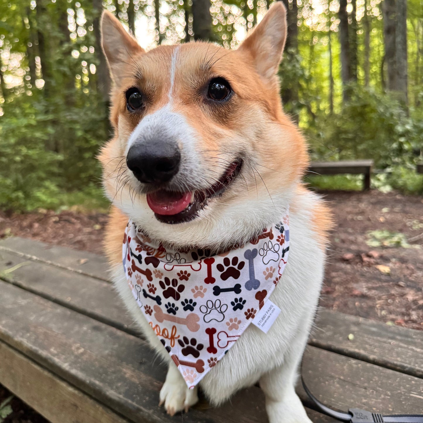 Woof Dog Bandana