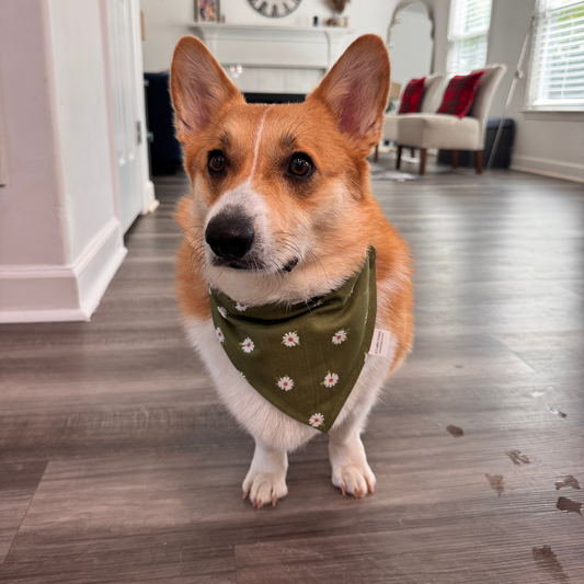 Daisies Dog Bandana