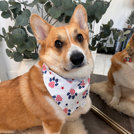 Red White & Blue Dog Bandana